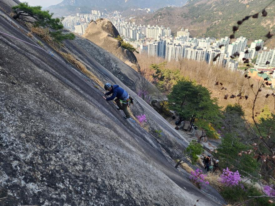 51d8eec4f5265cf0ca3325b4a748a996_1775447