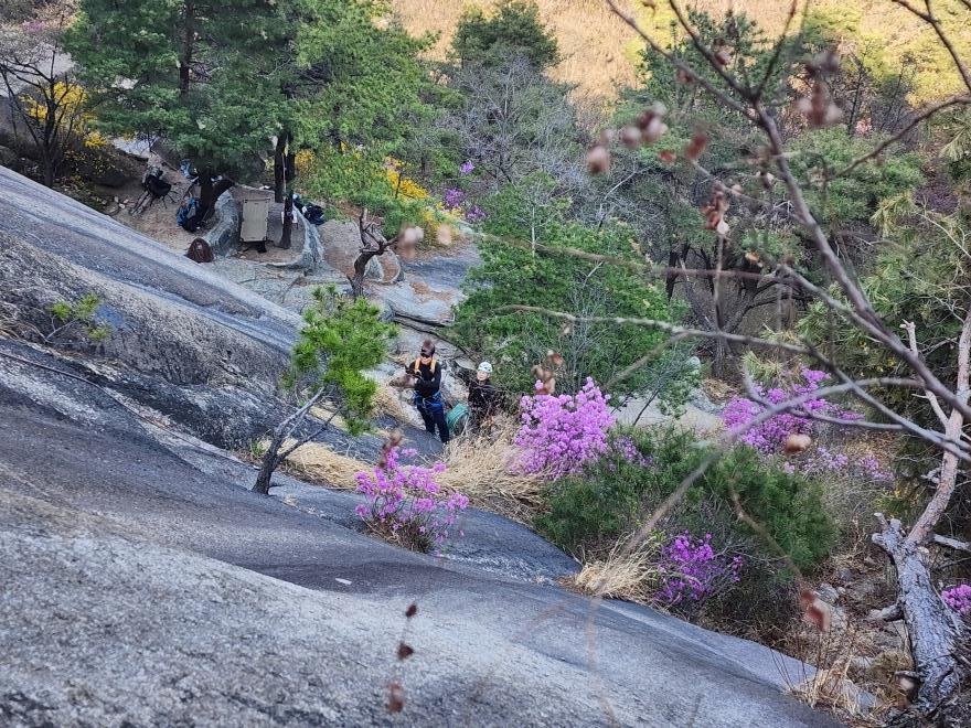 51d8eec4f5265cf0ca3325b4a748a996_1775447