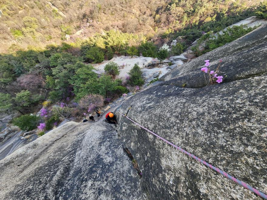 51d8eec4f5265cf0ca3325b4a748a996_1775447