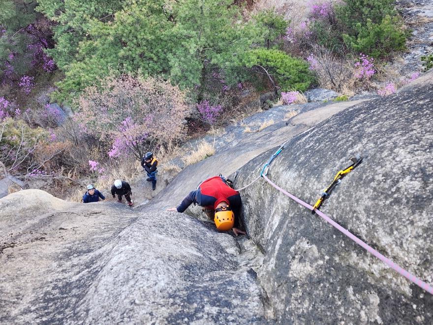 51d8eec4f5265cf0ca3325b4a748a996_1775447