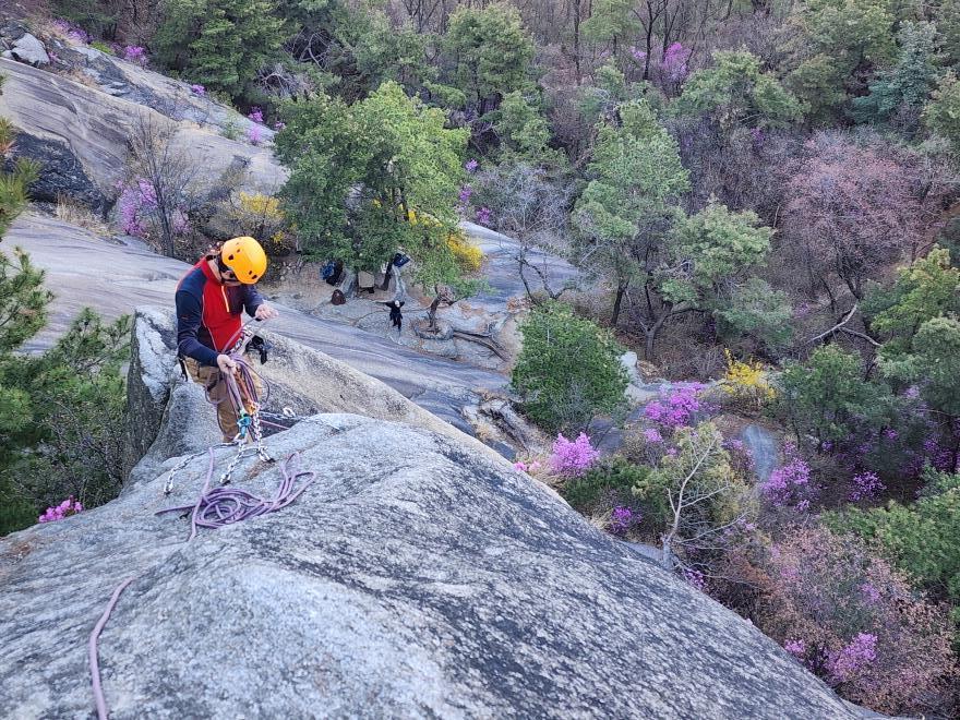 51d8eec4f5265cf0ca3325b4a748a996_1775447