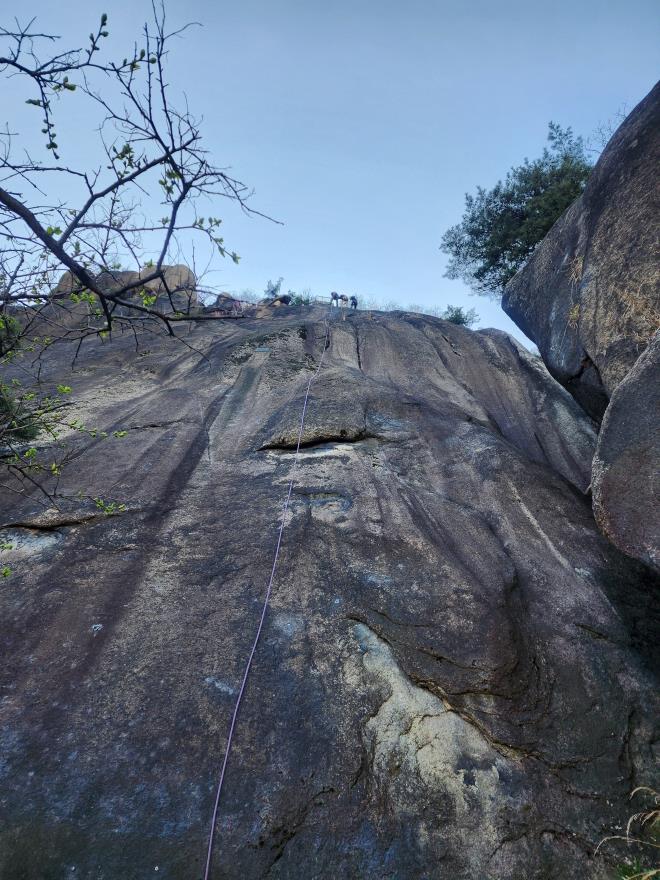 51d8eec4f5265cf0ca3325b4a748a996_1775447