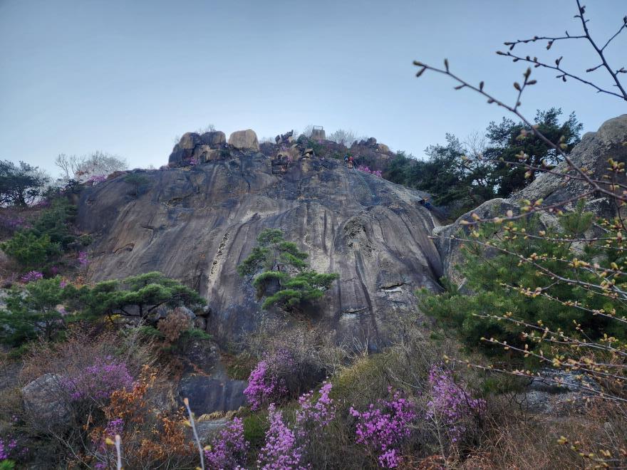 51d8eec4f5265cf0ca3325b4a748a996_1775447