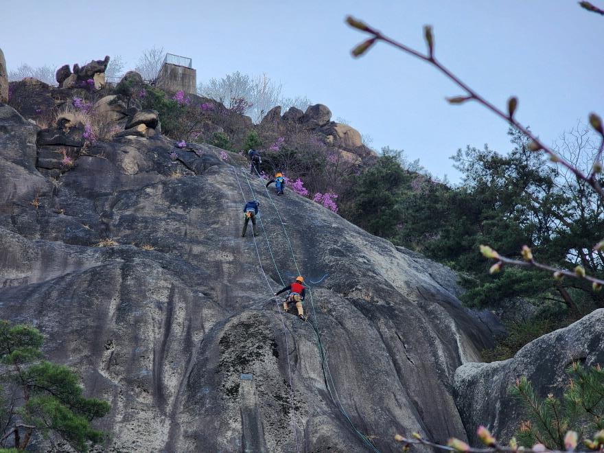 51d8eec4f5265cf0ca3325b4a748a996_1775447