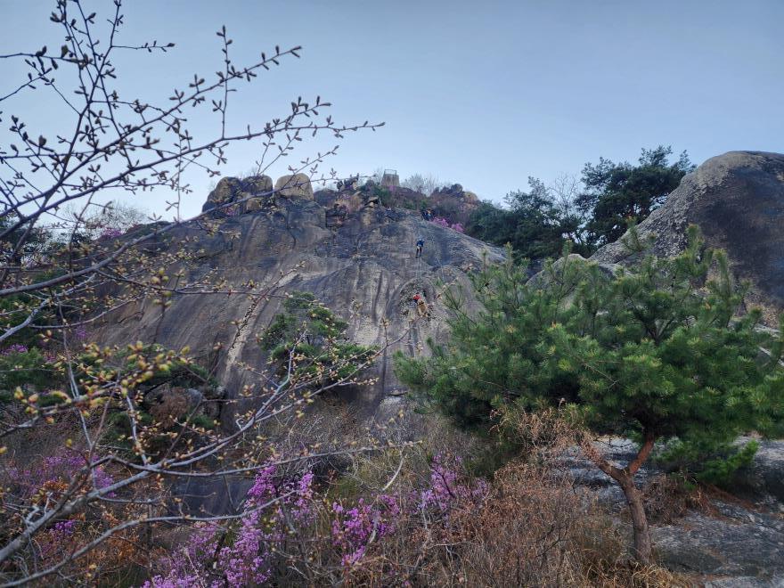 51d8eec4f5265cf0ca3325b4a748a996_1775447