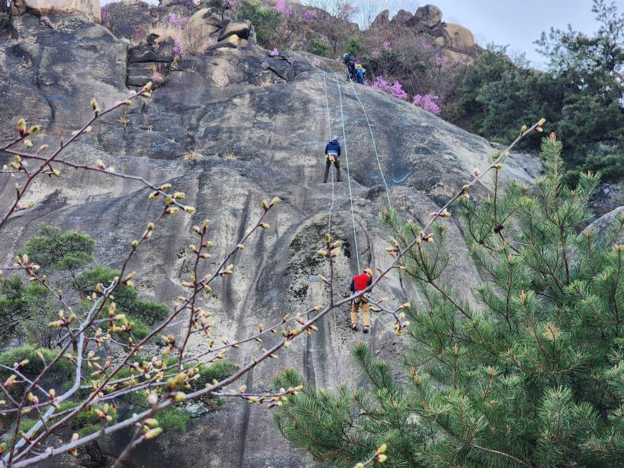 51d8eec4f5265cf0ca3325b4a748a996_1775447