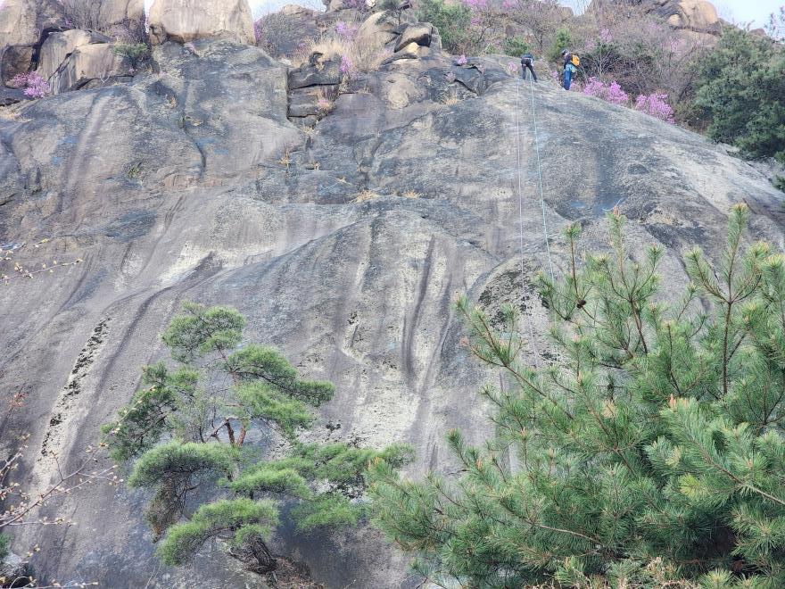 51d8eec4f5265cf0ca3325b4a748a996_1775447