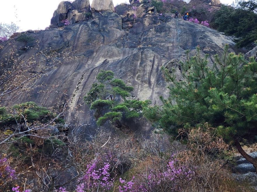 51d8eec4f5265cf0ca3325b4a748a996_1775447