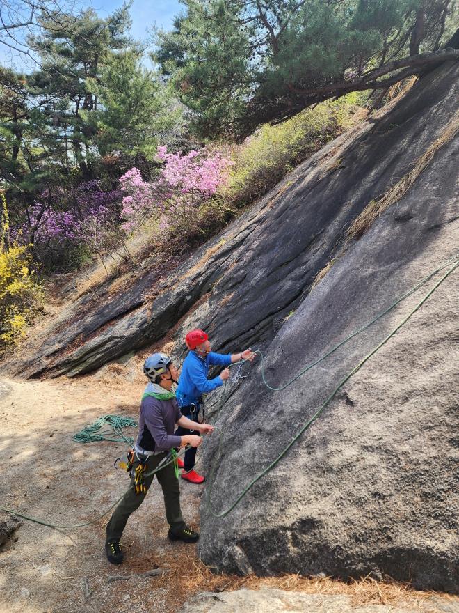 53a7ad35072774e5e9b48b8daa151d89_1776092