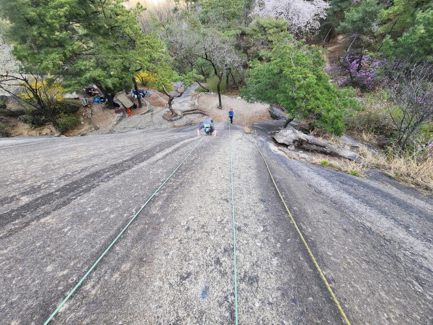 53a7ad35072774e5e9b48b8daa151d89_1776092