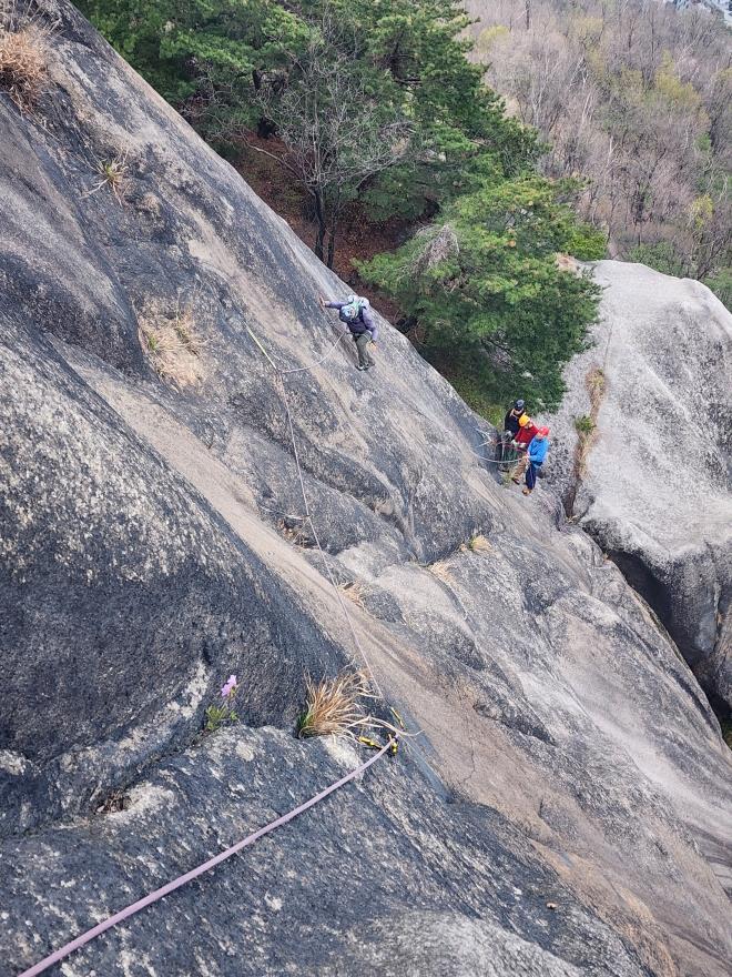 53a7ad35072774e5e9b48b8daa151d89_1776092