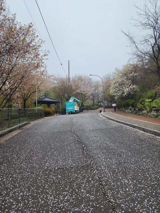 578cf828d3a58d338202e396dbdafe1c_1775860