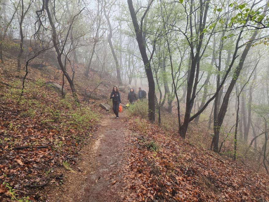 578cf828d3a58d338202e396dbdafe1c_1775860