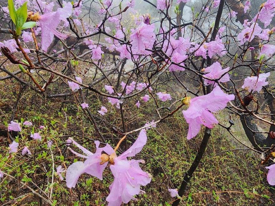 578cf828d3a58d338202e396dbdafe1c_1775860