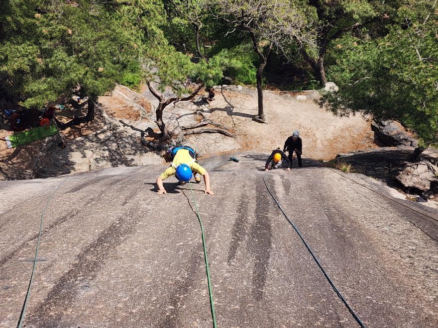 71d5265b94a48a5b3c59020c143f1f83_1776701