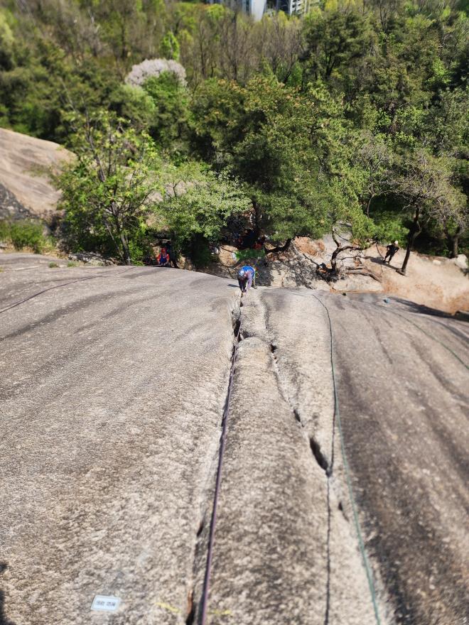 71d5265b94a48a5b3c59020c143f1f83_1776701