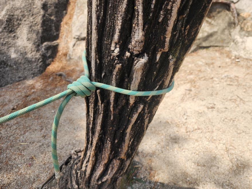 71d5265b94a48a5b3c59020c143f1f83_1776701