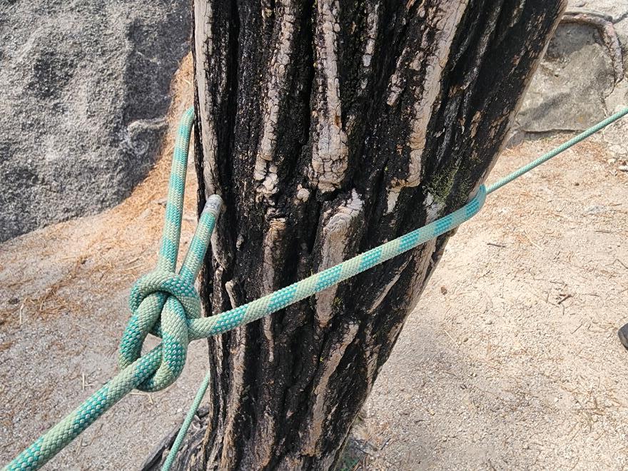 71d5265b94a48a5b3c59020c143f1f83_1776701