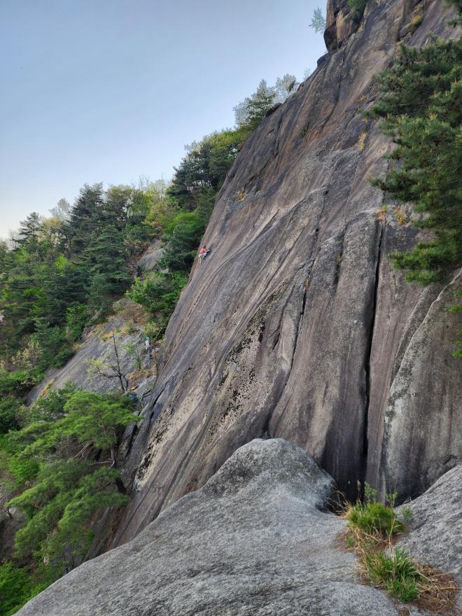 71d5265b94a48a5b3c59020c143f1f83_1776701