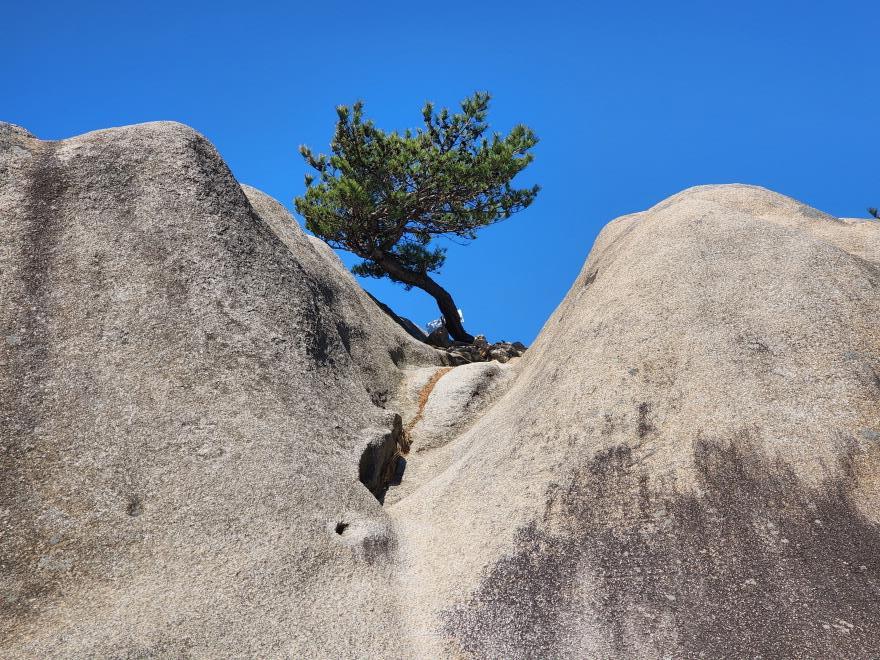 ca1d30d5c54b685f104e3b3b52dbff03_1775699