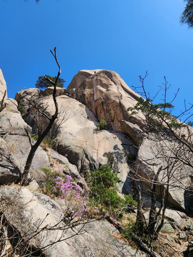 ca1d30d5c54b685f104e3b3b52dbff03_1775699