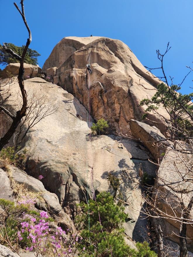 ca1d30d5c54b685f104e3b3b52dbff03_1775699