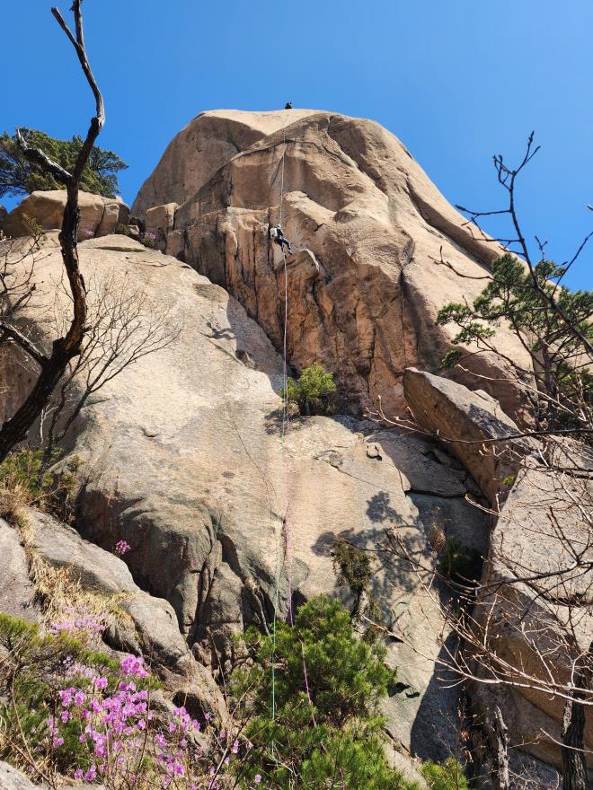 ca1d30d5c54b685f104e3b3b52dbff03_1775699