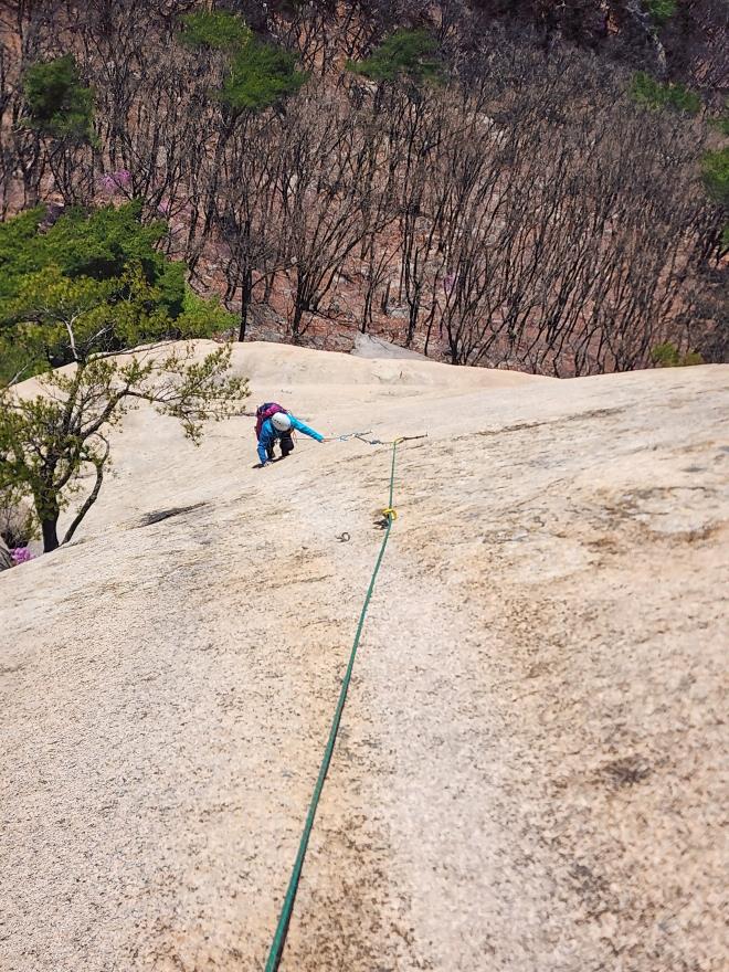 ca1d30d5c54b685f104e3b3b52dbff03_1775699