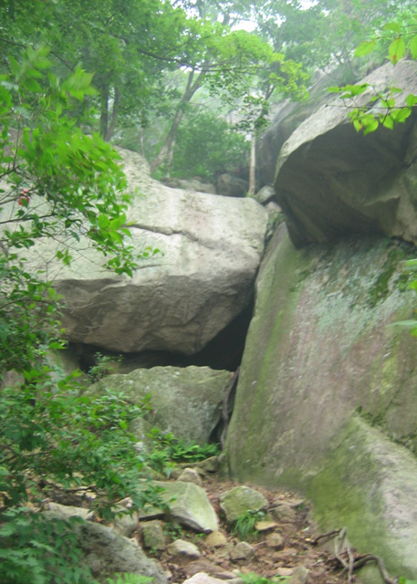 IMG_6963.jpg