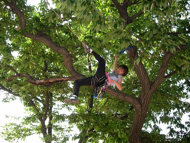 DSCN0053.JPG
