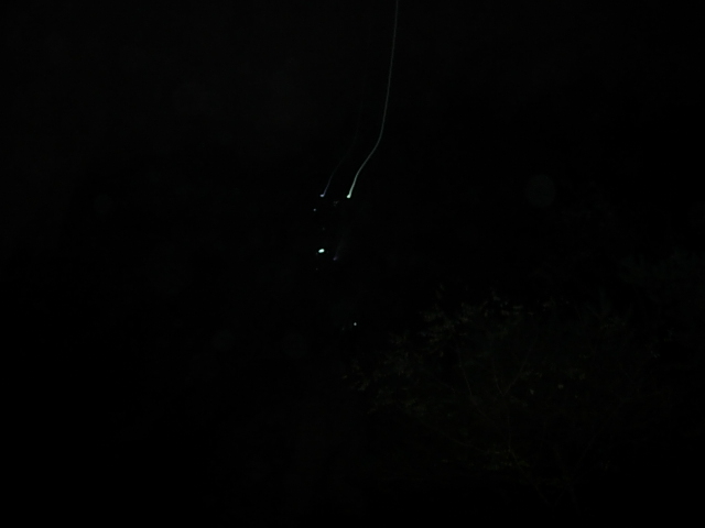 DSCN0412.JPG
