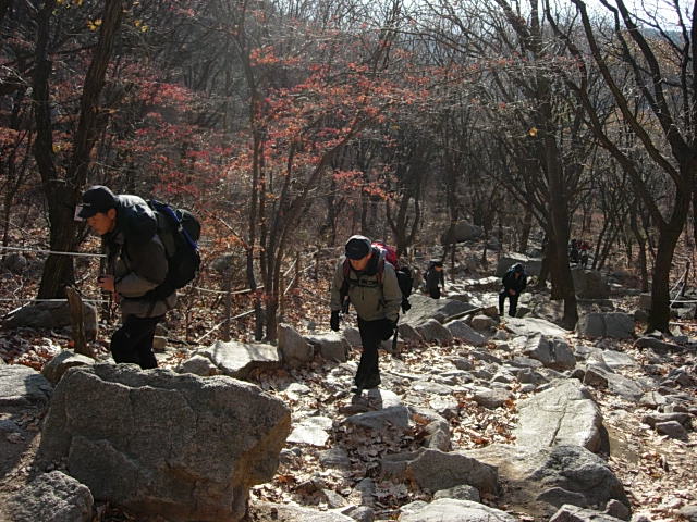 DSCN0015.JPG