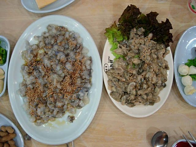 DSCN0237.JPG