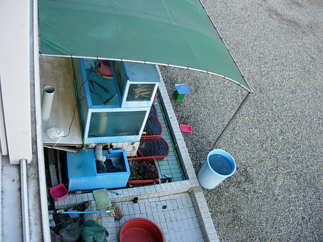 DSCN0403.JPG
