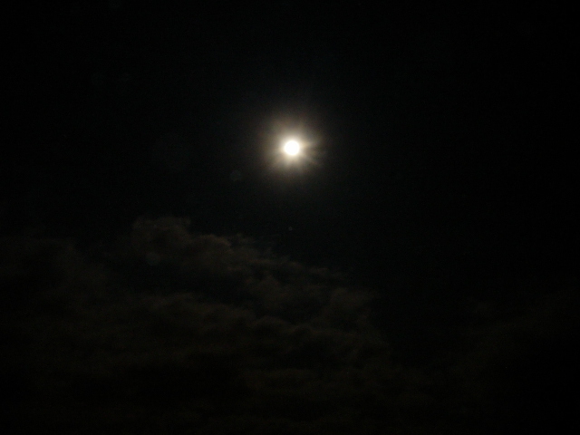 DSCN0411.JPG