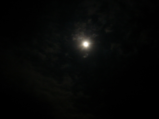 DSCN0469.JPG