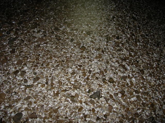 DSCN0474.JPG