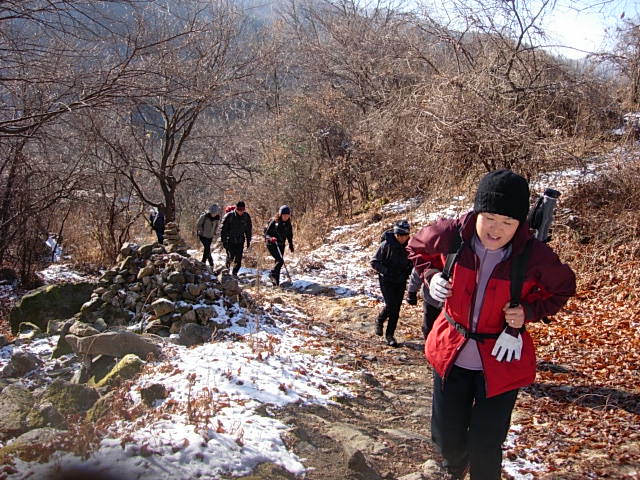 DSCN0485.JPG