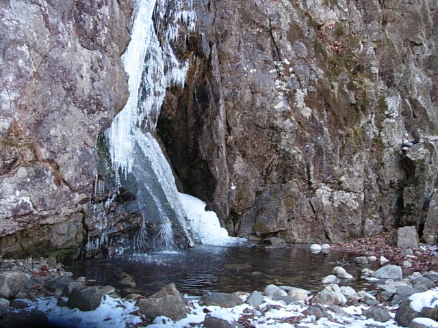 DSCN0486.JPG