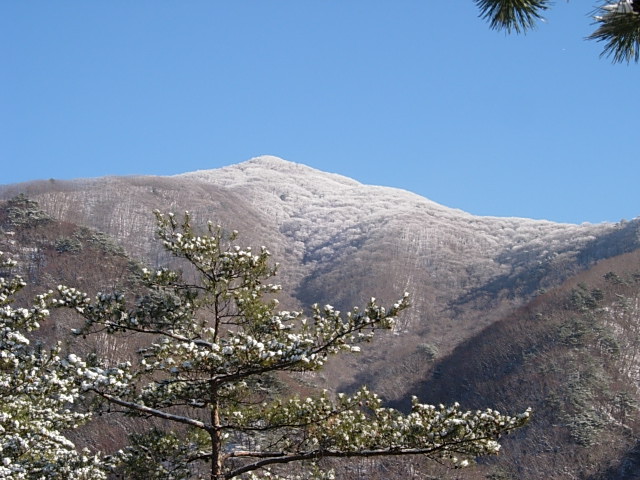 DSCN0489.JPG