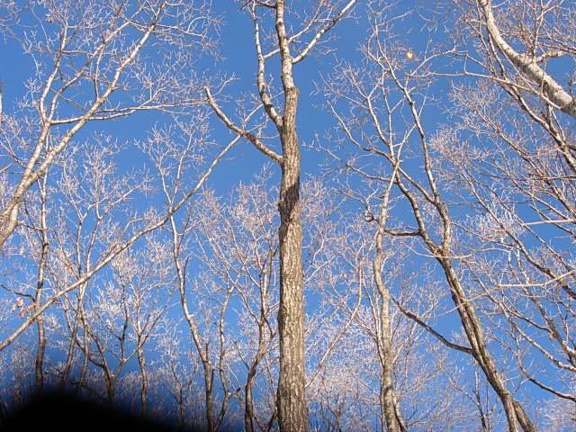 DSCN0494.JPG