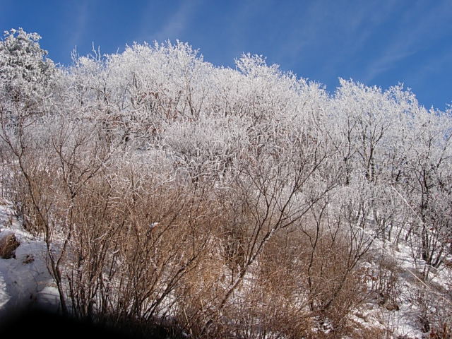 DSCN0495.JPG