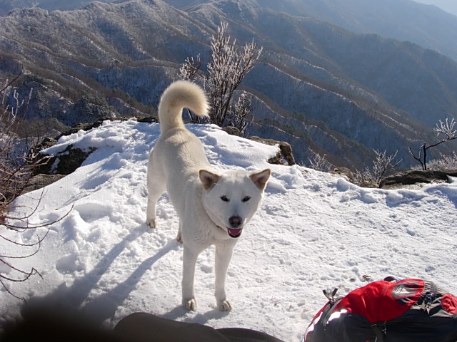 DSCN0499.JPG
