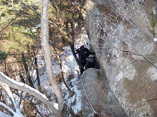 DSCN0517.JPG