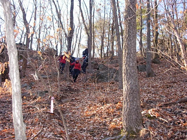 DSCN0519.JPG