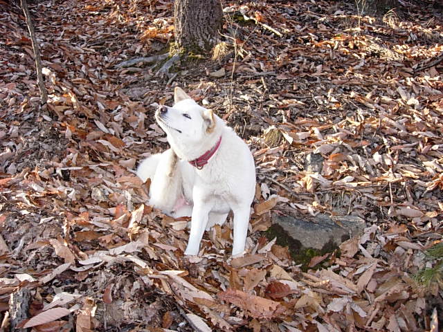 DSCN0521.JPG