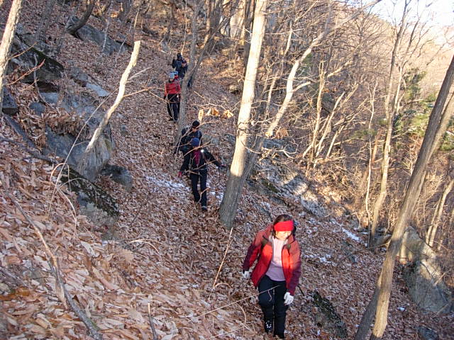 DSCN0522.JPG