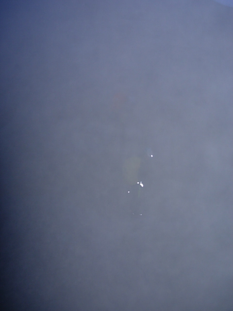 DSCN0080.JPG