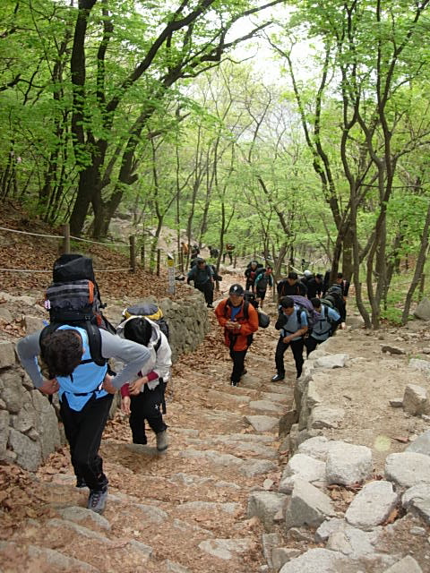 DSCN0520.JPG