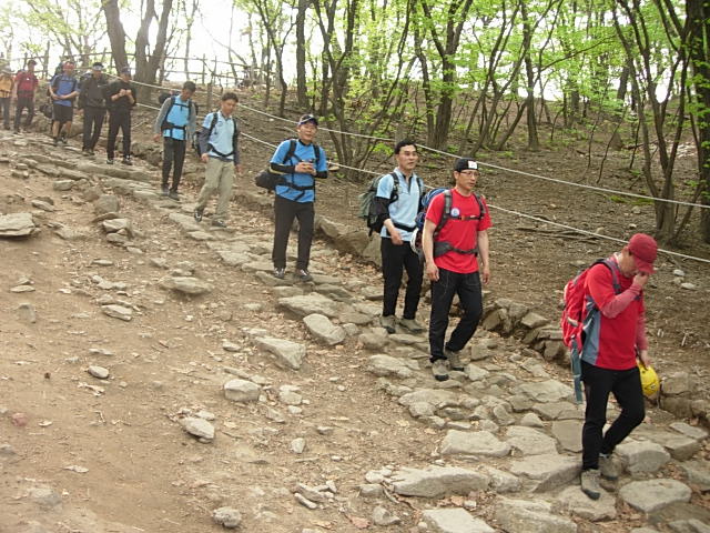 DSCN0523.JPG